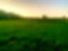 sunset.jpg
